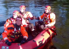 Deer rescued by firefighters from