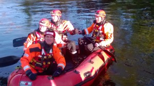 Deer rescued by firefighters from